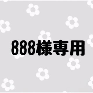 888様専用(つけ爪/ネイルチップ)