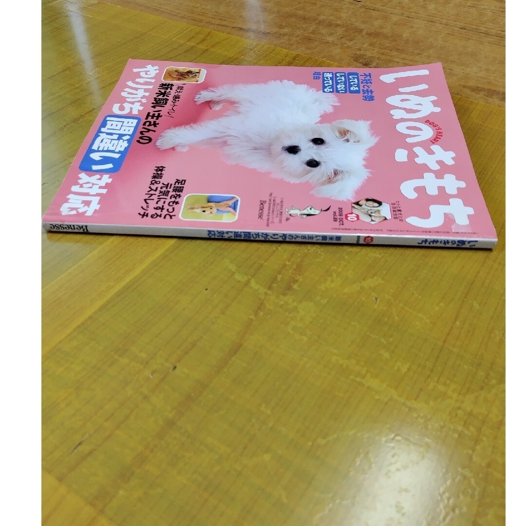 いぬのきもち2009年10月vol.89　しつけ　トレーニング 愛犬　散歩 エンタメ/ホビーの雑誌(その他)の商品写真