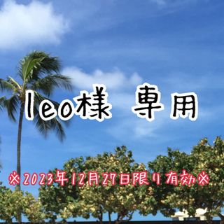 leo様専用 見立て遊び 具材×3(その他)