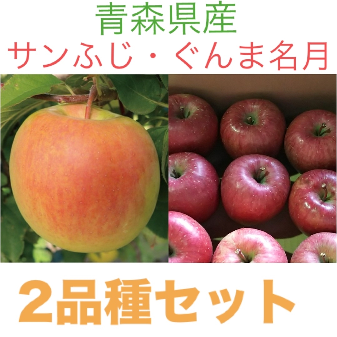 青森直送りんご２品種 - 果物