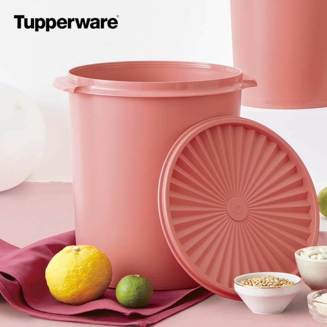 TupperwareBrands - Tupperwareマキシクイーンデコレーター（ソフト