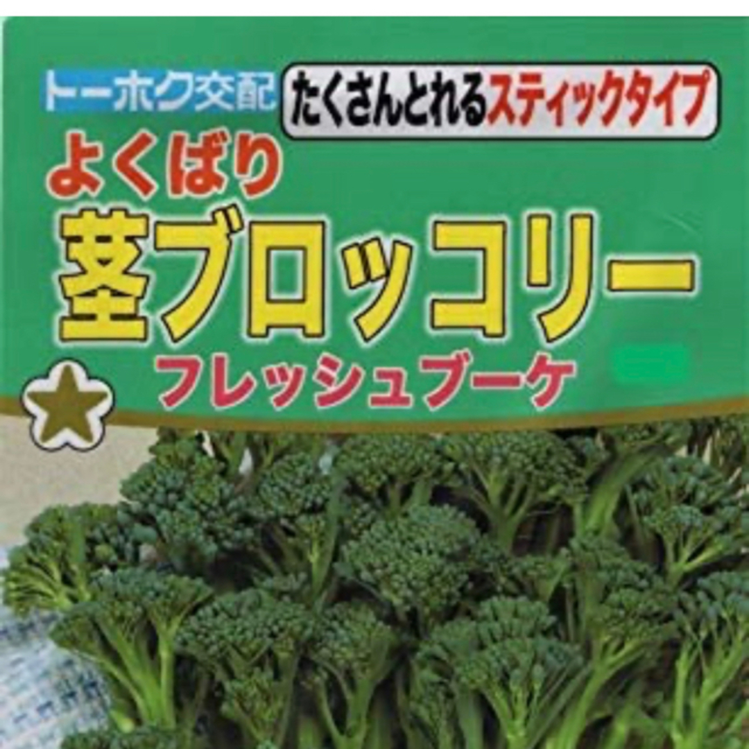 野菜種 たくさんとれる スティックタイプ 茎ブロックリー 種 10個 食品/飲料/酒の食品(野菜)の商品写真