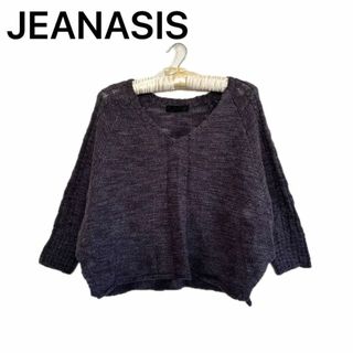 ジーナシス(JEANASIS) グレー ニット/セーター(レディース)の通販 700