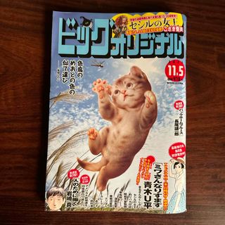 ショウガクカン(小学館)のビッグコミック オリジナル 2023年 11/5号 [雑誌](漫画雑誌)