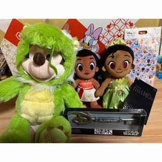 ディズニー(Disney)の#ディズニーストア福袋　2024 #ディズニー福袋、ラッキーバッグ(ぬいぐるみ)