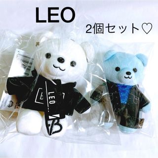 ビーファースト(BE:FIRST)のBE:FIRST  LEO  レオ  くま　ぬいぐるみ(アイドルグッズ)