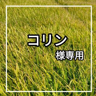 【無農薬】 石垣島産 赤米 500g×2袋 令和5年産(米/穀物)