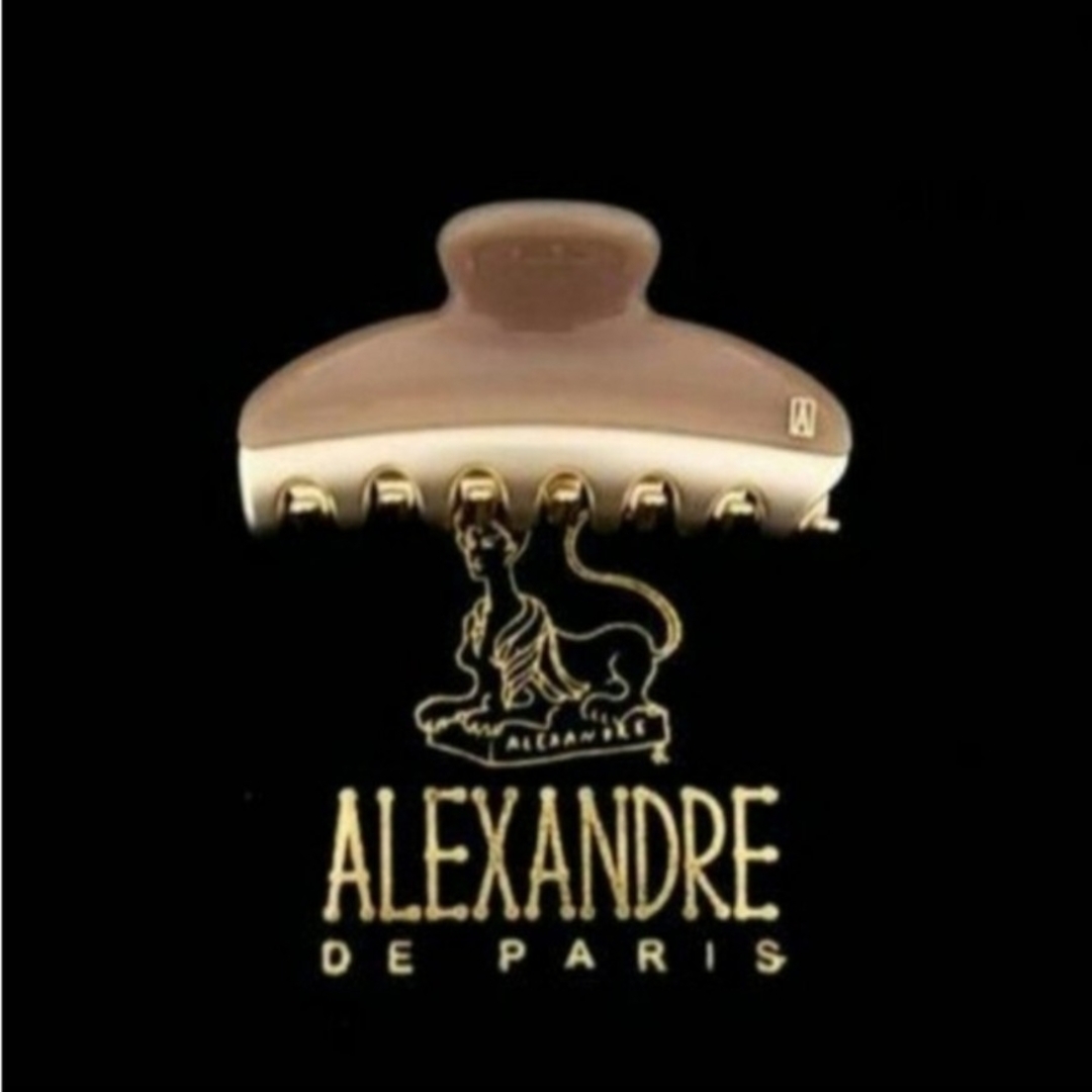 Alexandre de Paris(アレクサンドルドゥパリ)の新品☆アレクサンドル ドゥ パリ VENDOME CLIP M (7.5cm) レディースのヘアアクセサリー(バレッタ/ヘアクリップ)の商品写真