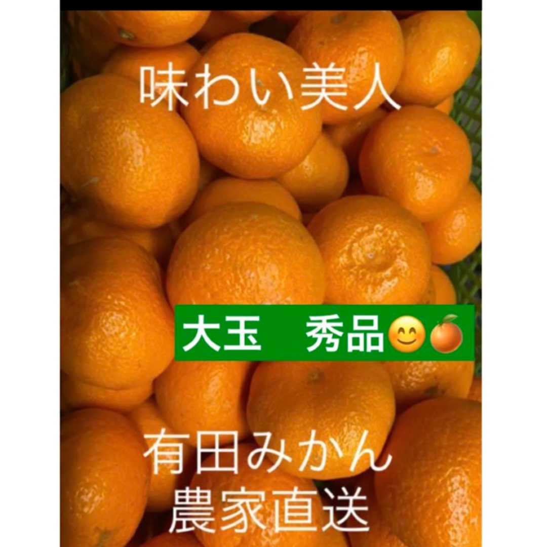 有田みかん農家直送🌟ブランド味わい美人大玉秀品箱込み10キロ 食品/飲料/酒の食品(フルーツ)の商品写真