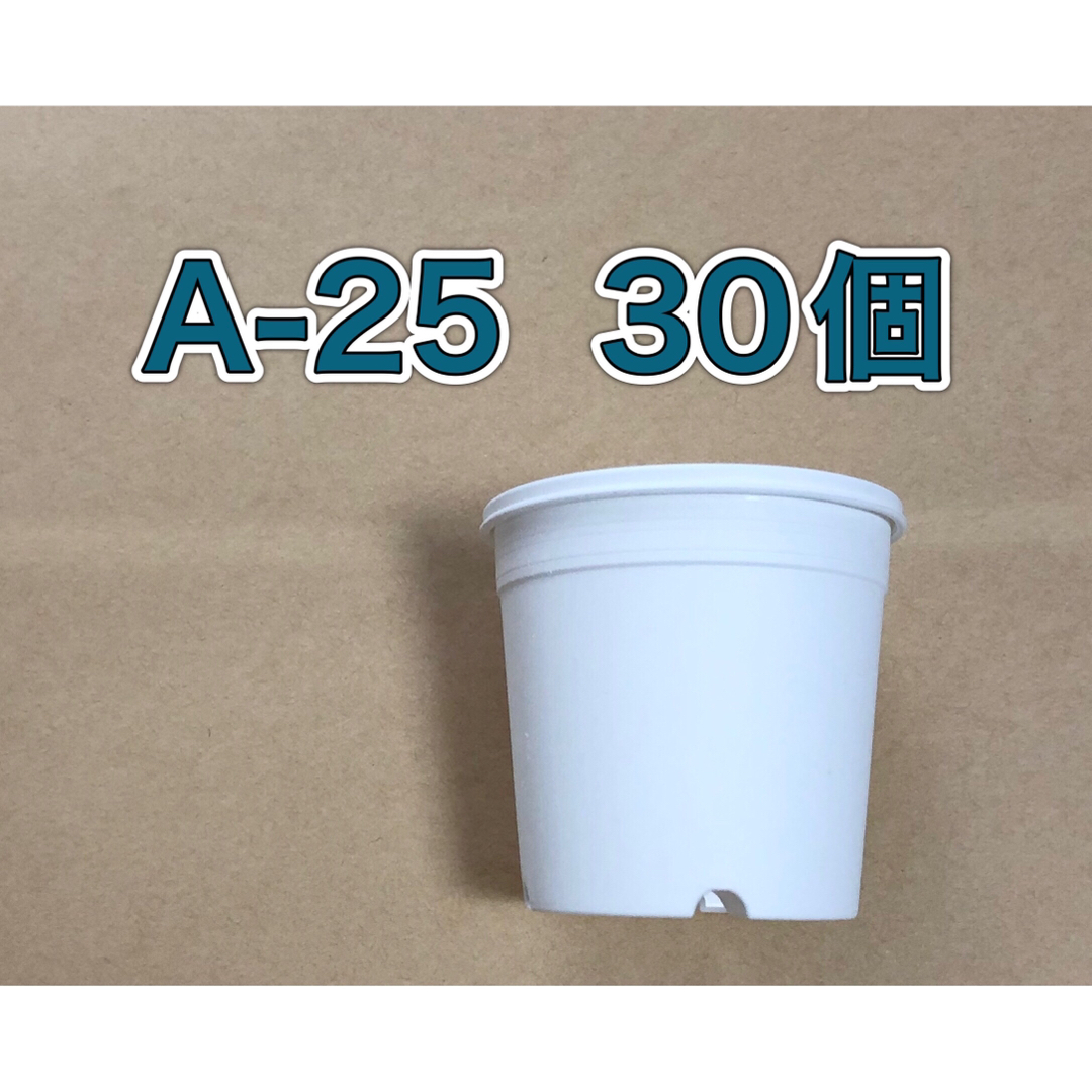 《A-30・A-25》白 プラ鉢 スリット鉢 多肉植物  ハンドメイドのフラワー/ガーデン(プランター)の商品写真