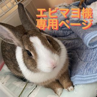 エビマヨさま専用📖お薬手帳(ノート/メモ帳/ふせん)