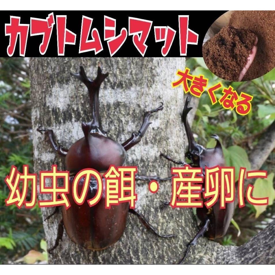 カブトムシ幼虫に抜群！ヒマラヤひらたけ発酵マット【20袋セット】大きく育ちます！ その他のペット用品(虫類)の商品写真