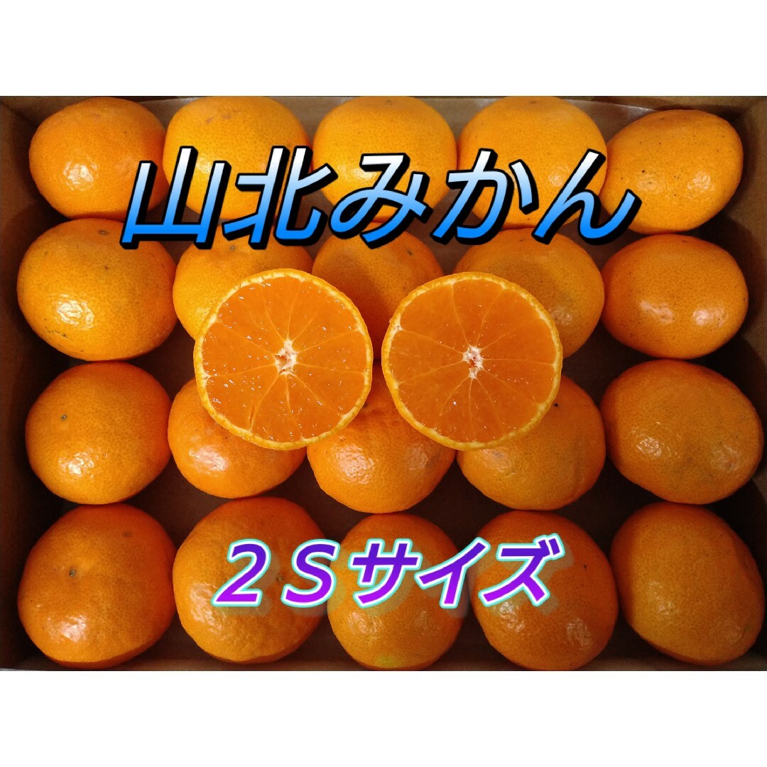 山北みかん 興津早生 2Sサイズ 1.1㎏ 高知県産 宅配便コンパクト 食品/飲料/酒の食品(フルーツ)の商品写真