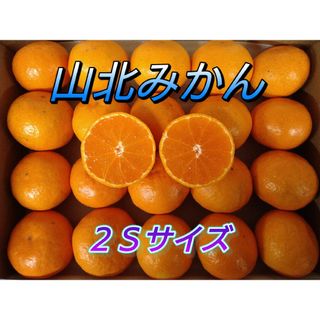 山北みかん 興津早生 2Sサイズ 1.1㎏ 高知県産 宅配便コンパクト(フルーツ)