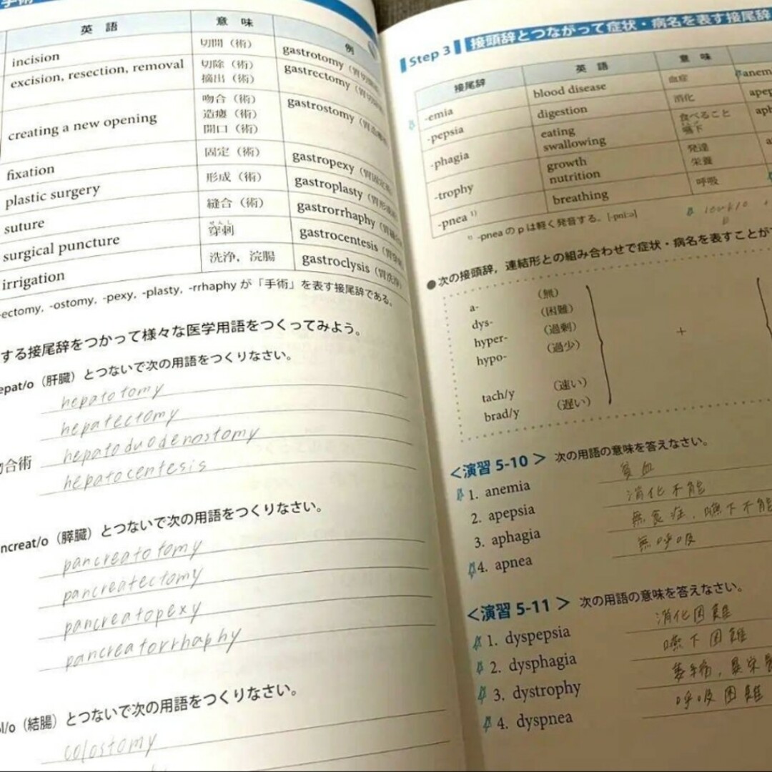 最新医学用語演習 エンタメ/ホビーの本(健康/医学)の商品写真