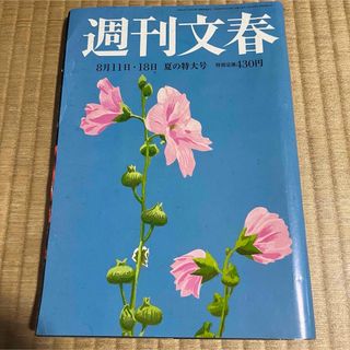 週刊文春 (平成28年8月18日号) 井川遥.他(ニュース/総合)