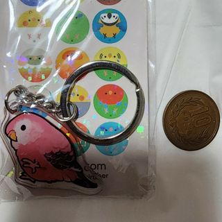 アキクサインコ 両面 アクリルキーホルダー(その他)