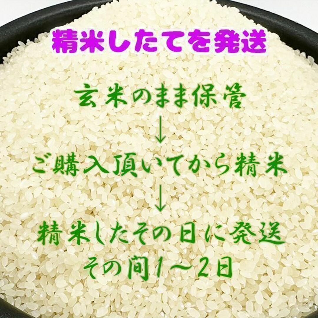 発送直前に精米 あきたこまち 1.5キロ  秋田県産 10合 一升 米 令和5年 食品/飲料/酒の食品(米/穀物)の商品写真