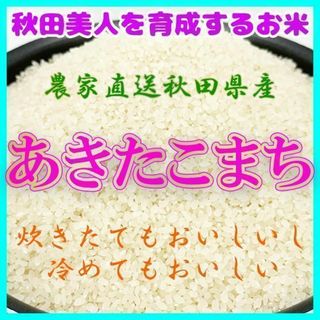 発送直前に精米 あきたこまち 1.5キロ  秋田県産 10合 一升 米 令和5年(米/穀物)