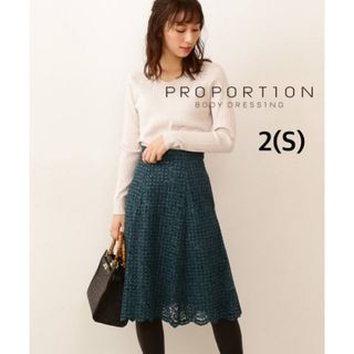 プロポーションボディドレッシング(PROPORTION BODY DRESSING)のプロポーションボディドレッシング チェックフロッキーレースフレアスカートⅡ(ひざ丈スカート)