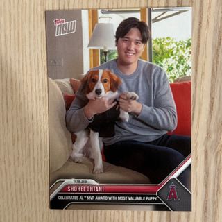 トップス(Topps)の大谷翔平 MVP記念カード　デコピン(記念品/関連グッズ)