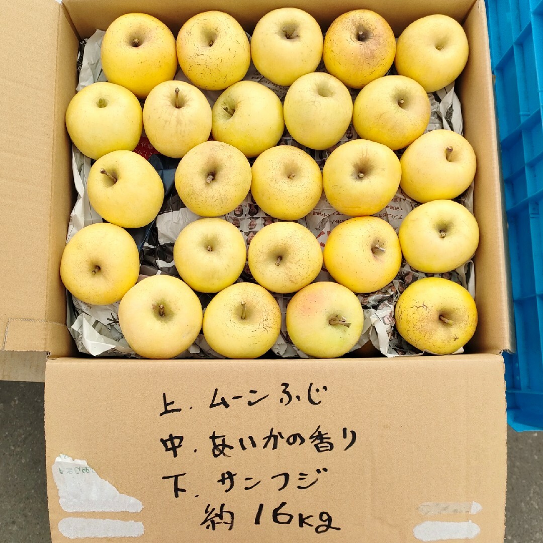 オススメ　本州宛配送限定　信州産リンゴ　３種類セット　約15キロ