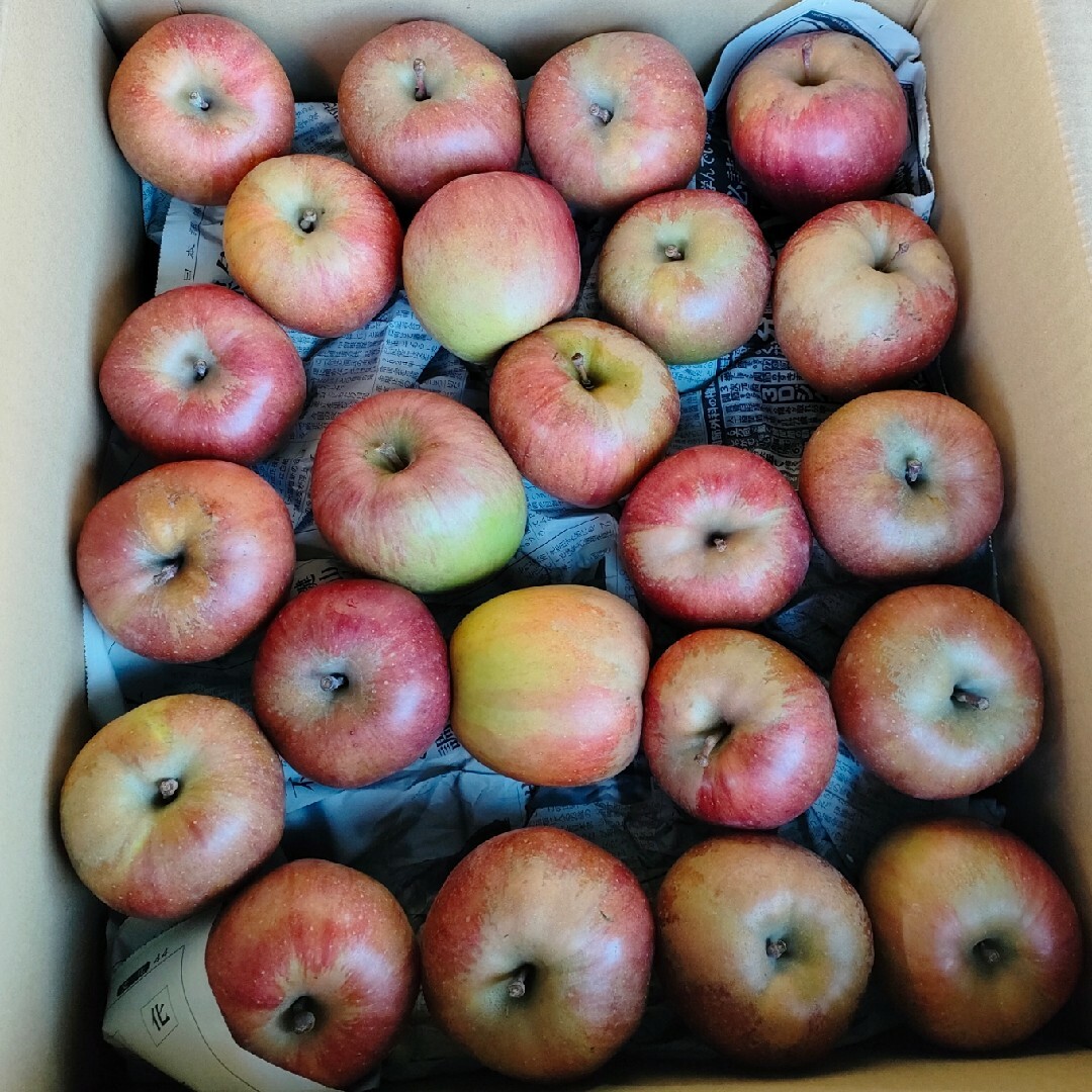 オススメ　本州宛配送限定　信州産リンゴ　３種類セット　約15キロ