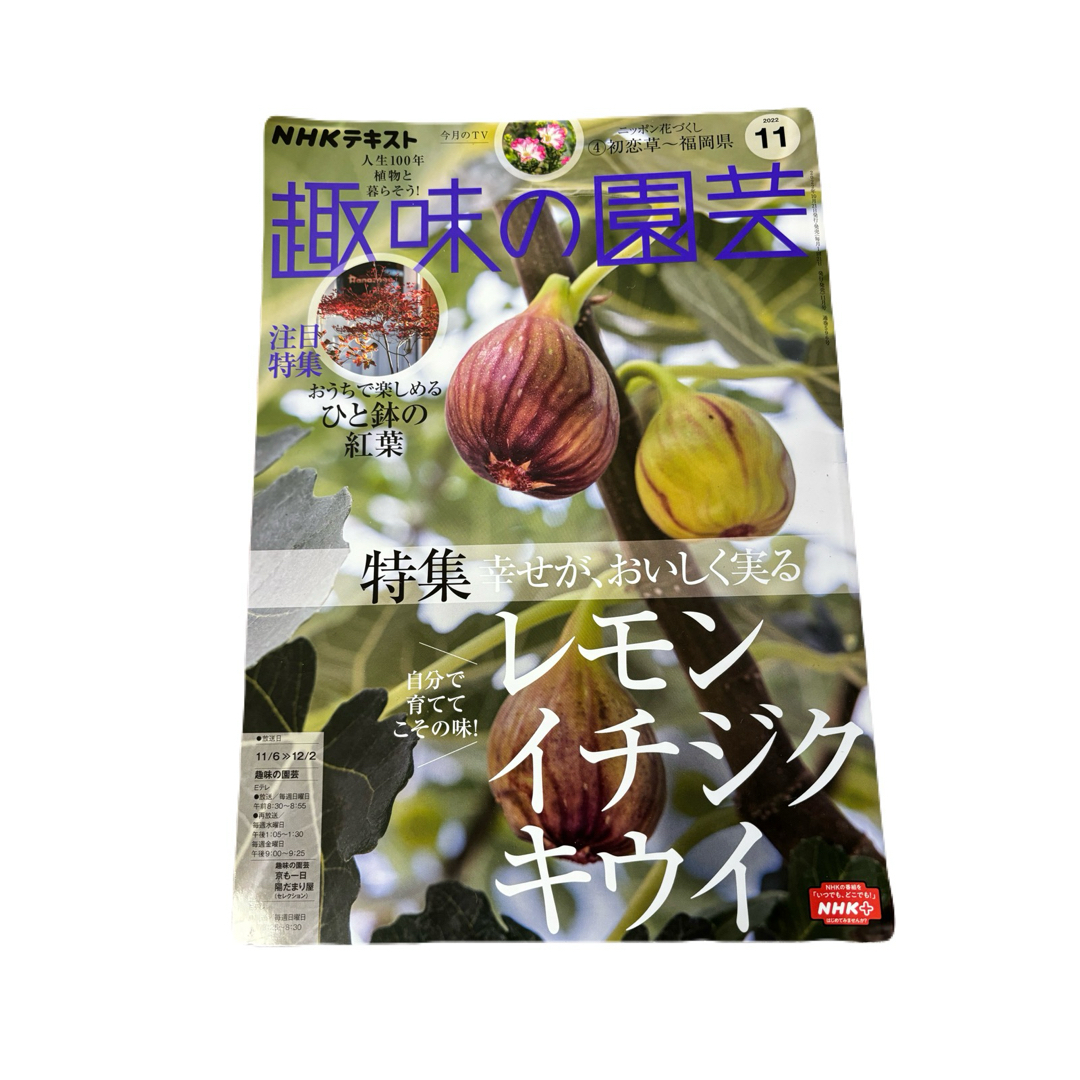 NHK 趣味の園芸 2022年 11月号 [雑誌] エンタメ/ホビーの雑誌(その他)の商品写真