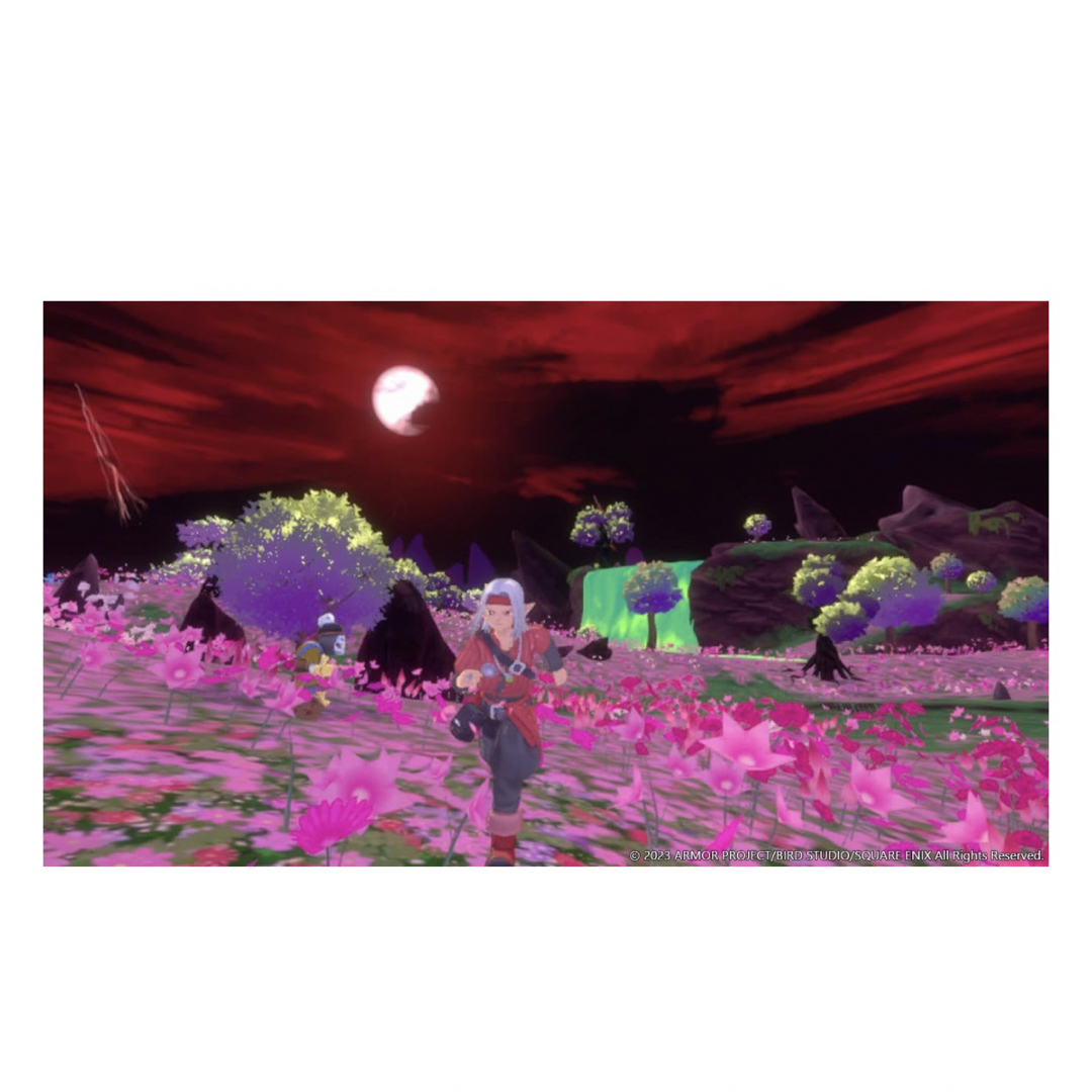 SQUARE ENIX - ドラゴンクエストモンスターズ３　魔族の王子とエルフの旅 -Switch