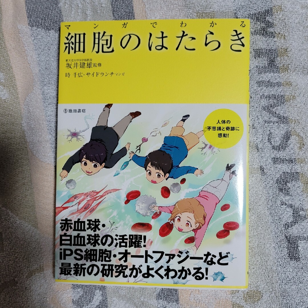 マンガでわかる　細胞のはたらき エンタメ/ホビーの本(科学/技術)の商品写真