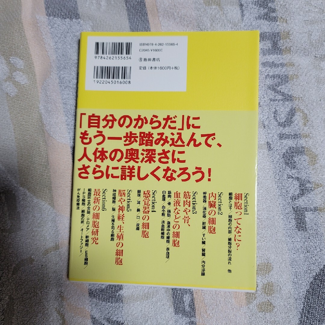 マンガでわかる　細胞のはたらき エンタメ/ホビーの本(科学/技術)の商品写真