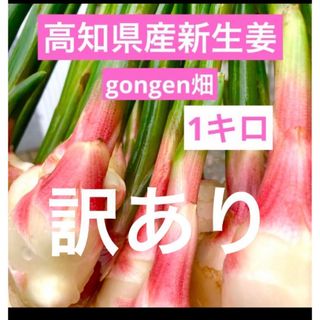 高知県産　訳あり新生姜　1キロ　年明け発送(野菜)