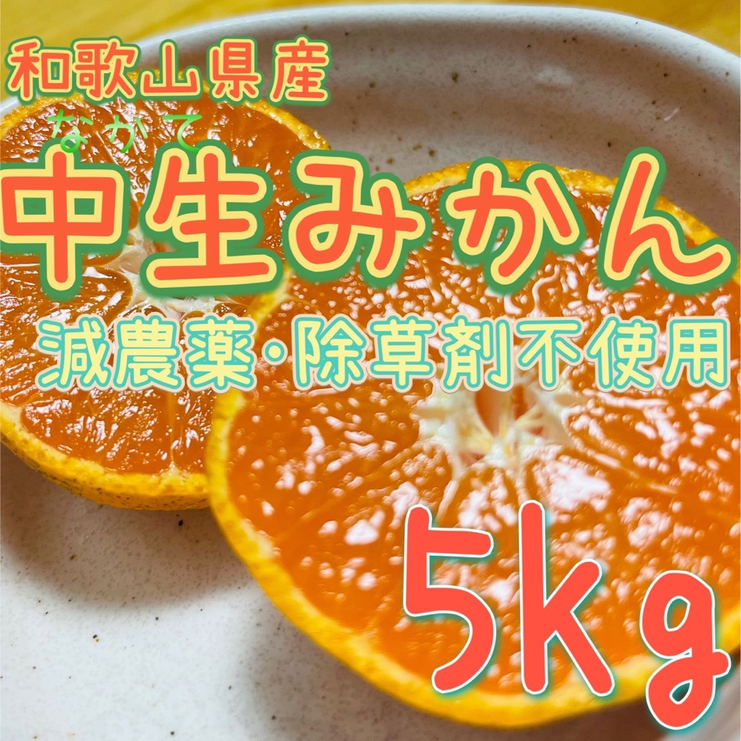 減農薬 中生みかん【5kg】和歌山県産 食品/飲料/酒の食品(フルーツ)の商品写真