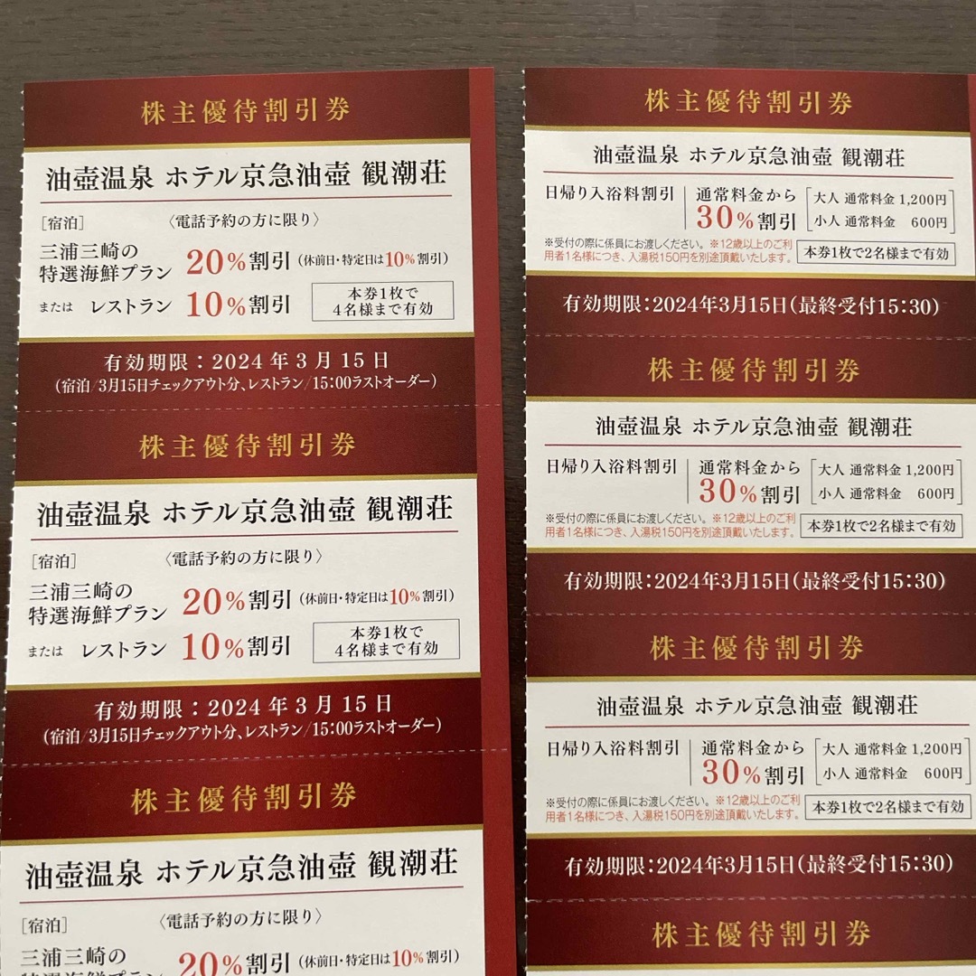 京急株主優待　油壺温泉　ホテル京急油壺　観潮荘　割引券 チケットの優待券/割引券(その他)の商品写真