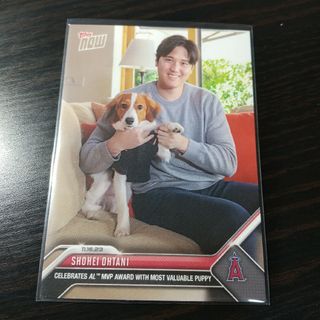 大谷翔平 2023 Topps Now ア・リーグMVP受賞 デコピン(スポーツ選手)
