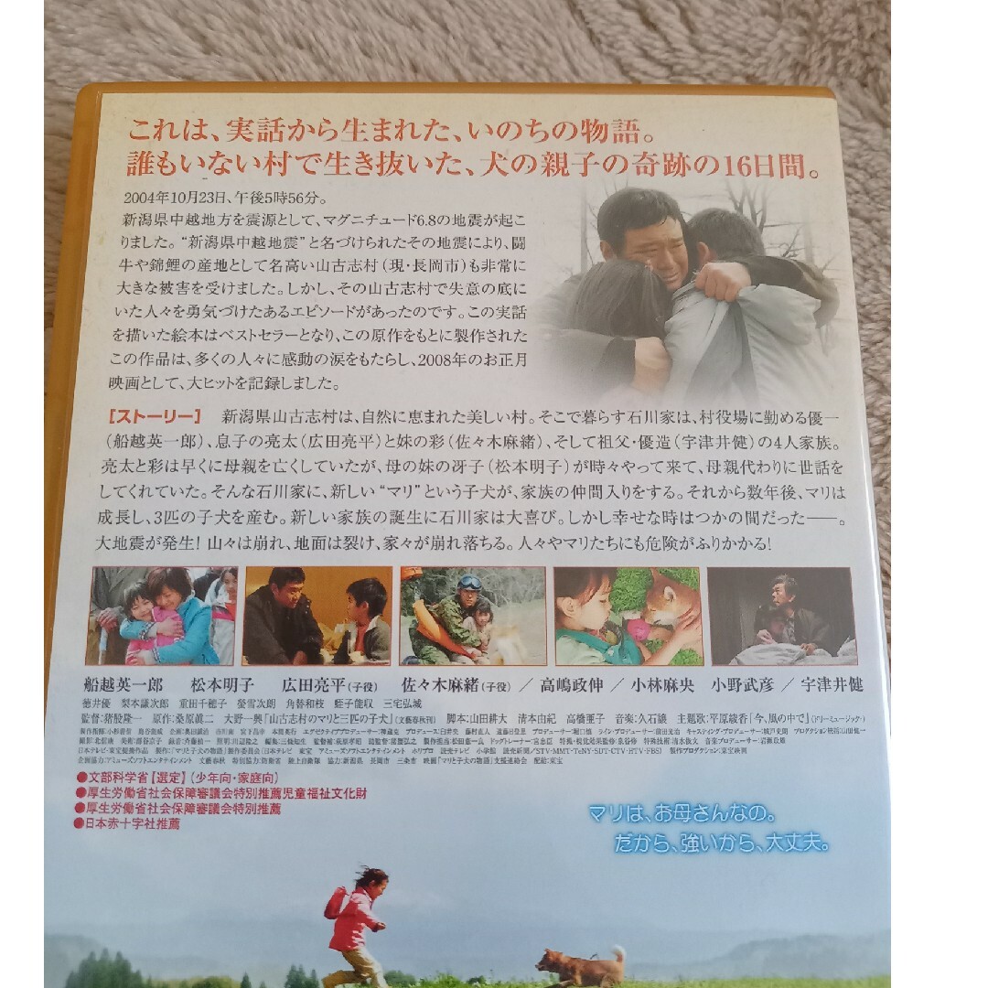 マリと子犬の物語　DVD エンタメ/ホビーのDVD/ブルーレイ(日本映画)の商品写真