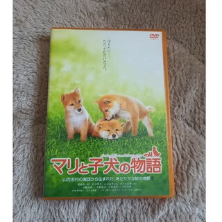 マリと子犬の物語　DVD(日本映画)