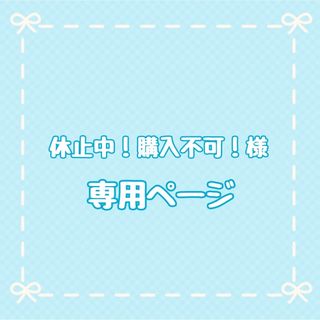 お弁当袋　封筒型　横入れ　マジックテープ　幼稚園　保育園　アルミ　トリオセット(ランチボックス巾着)