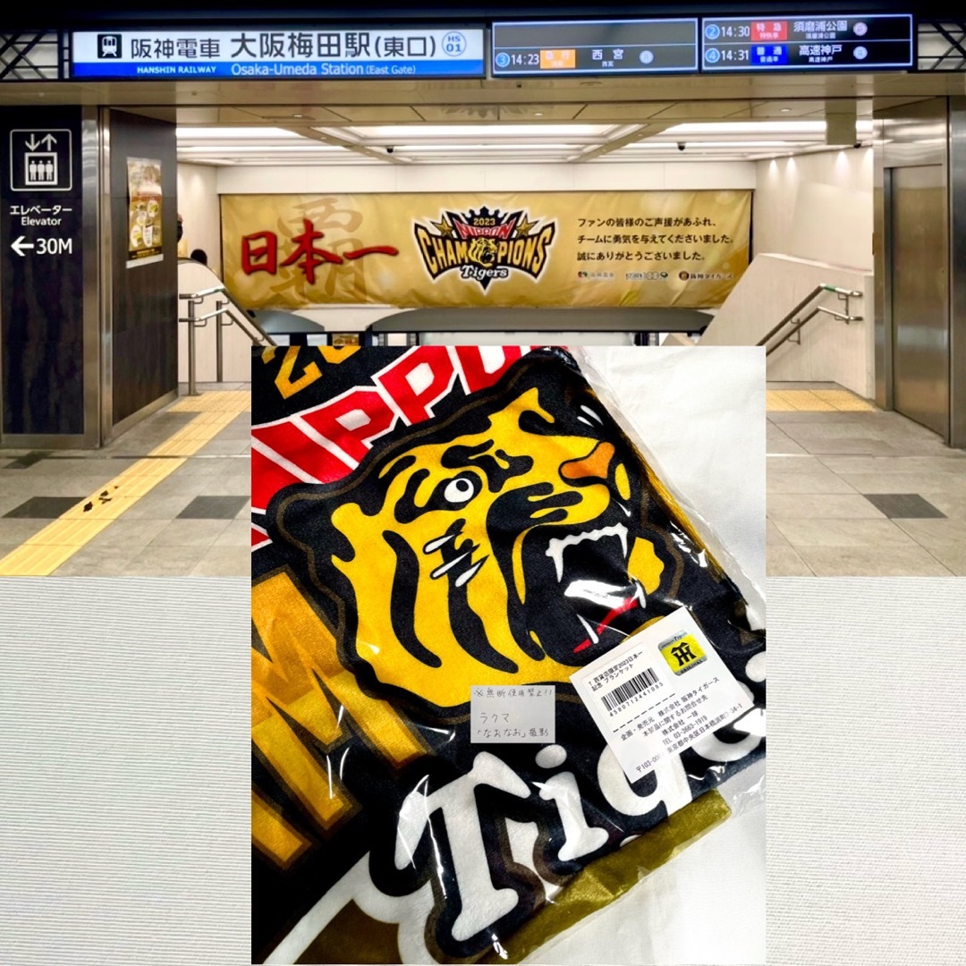 阪神タイガース - 【販売限定=即完売】『阪神タイガース日本一 阪神タイガース - 【販売限定=即完売】『阪神タイガース日本一
