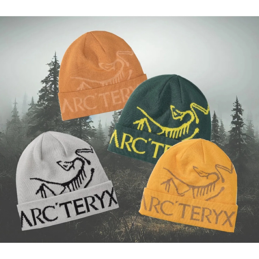 ARC'TERYX(アークテリクス)の【ARC'TERYX】快適多用途☆BIRD WORD TOQUE メンズの帽子(ニット帽/ビーニー)の商品写真