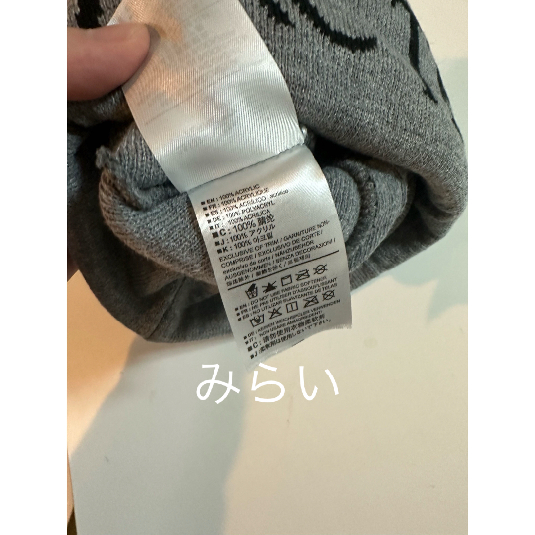 ARC'TERYX(アークテリクス)の【ARC'TERYX】快適多用途☆BIRD WORD TOQUE メンズの帽子(ニット帽/ビーニー)の商品写真