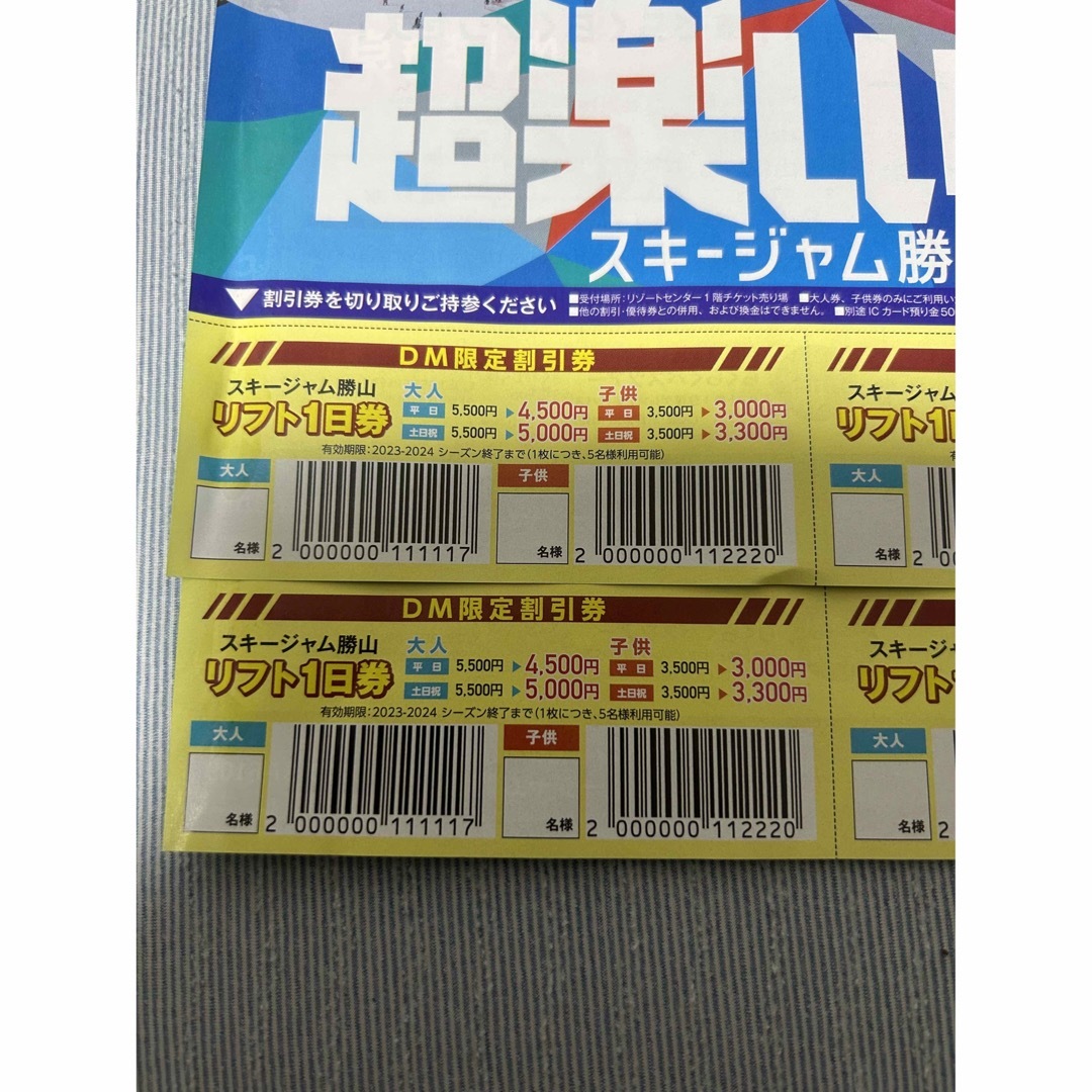 スキージャム勝山 リフト券 全日大人1枚 小学生1枚 - スキー場