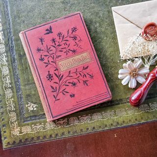 1887年　ボタニカルな表紙がとても可愛い♡アンティーク本♪(洋書)