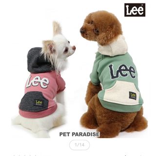 ペットパラダイス(PET PARADISE)のペットパラダイス　Lee ペットウェア(ペット服/アクセサリー)