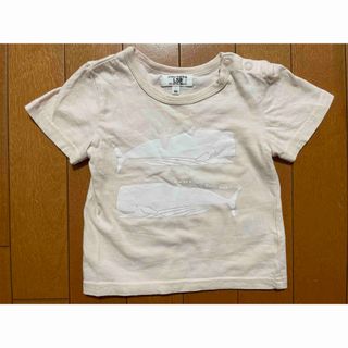 マーキーズ(MARKEY'S)のマーキーズ　Tシャツ　80(Ｔシャツ)