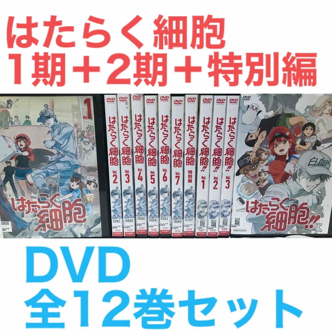 ラフィの出品一覧『はたらく細胞 1期＋2期＋特別編』DVD 全12巻セット　全巻セット