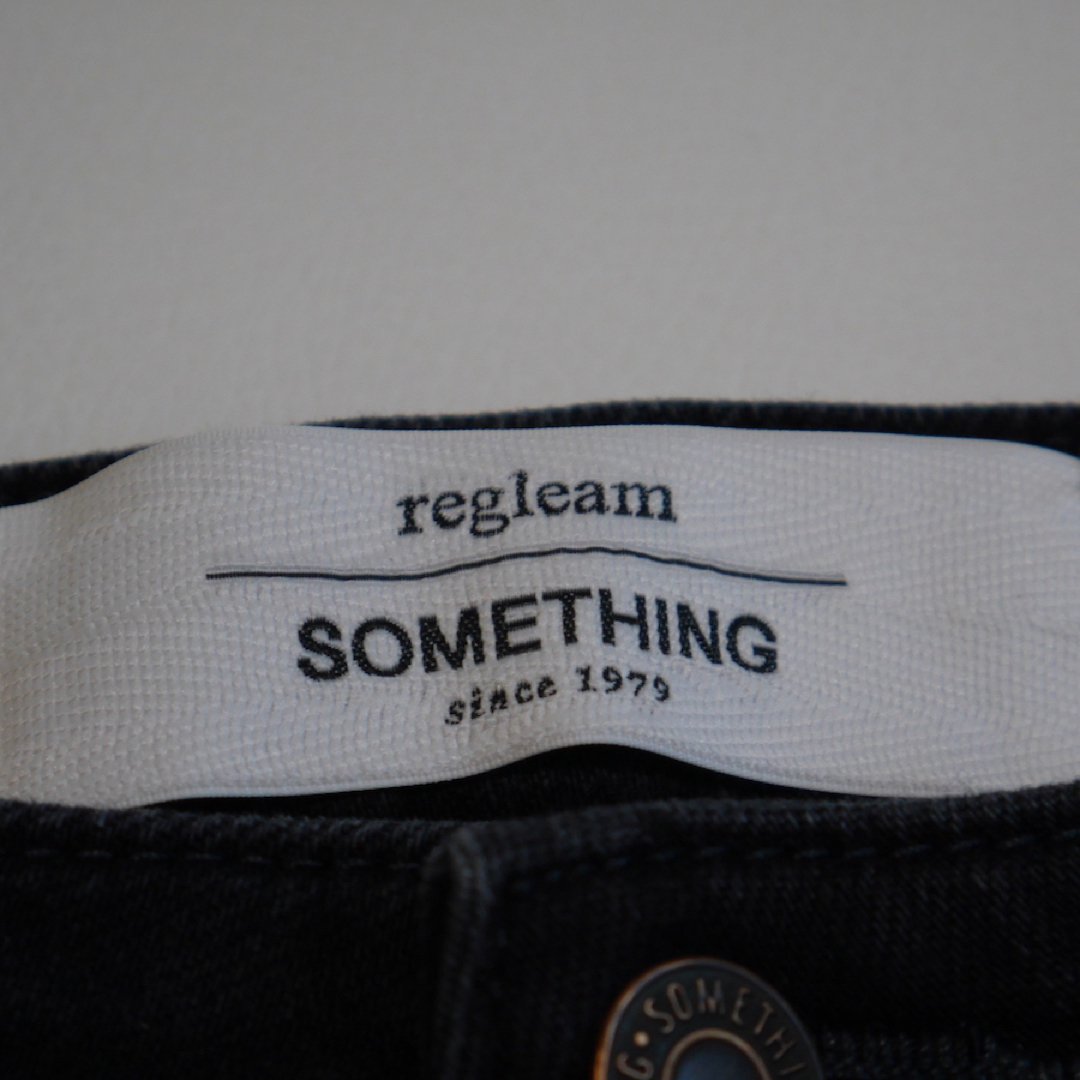 SOMETHING(サムシング)のregleam × something 別注 フライフロント スキニーデニム レディースのパンツ(デニム/ジーンズ)の商品写真