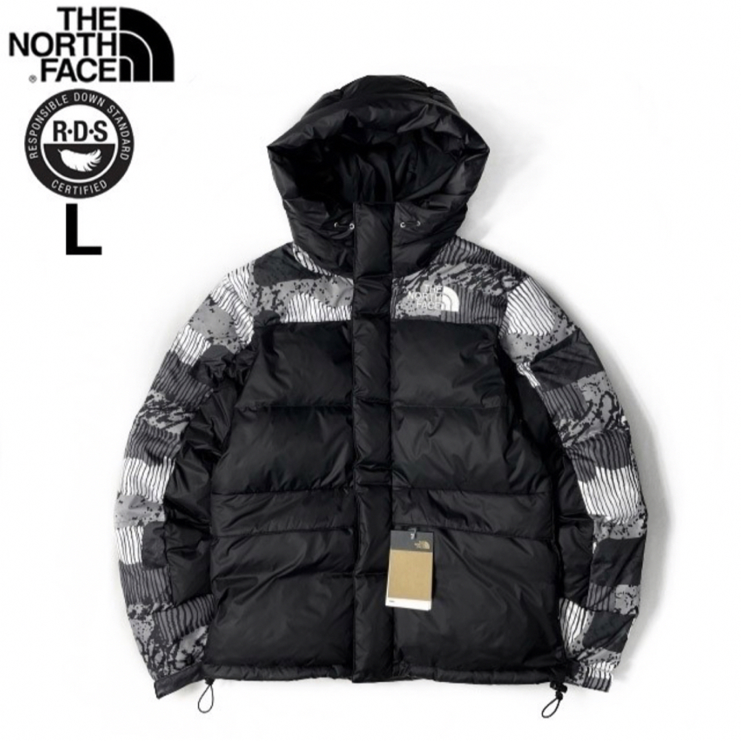 THE NORTH FACE ダウンジャケットUSサイズL（日本サイズXL相当）