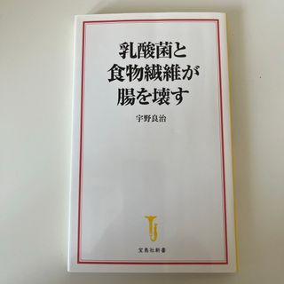 タカラジマシャ(宝島社)の乳酸菌と食物繊維が腸を壊す(その他)