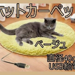 ホットカーペット　ペット　ベージュ　USB給電　犬　猫　足元　デスク下　机下(その他)